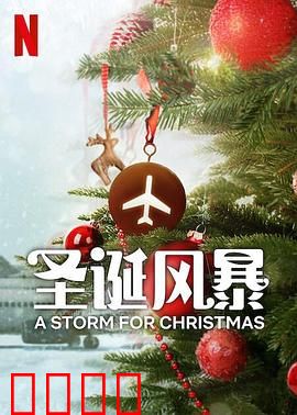 圣诞风暴：暴雪中的救赎