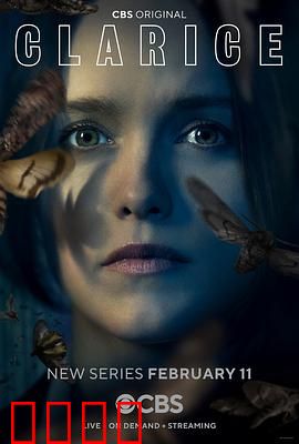 克拉丽斯：暗夜追凶