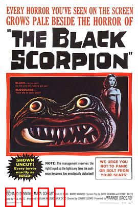 黑蝎：致命任务