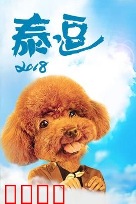 泰逗2018：笑到流泪