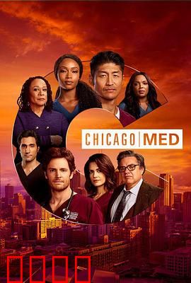 芝加哥急救第六季：生死危机