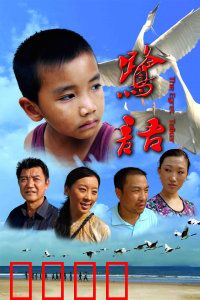 鹭语：守护白鹭的纯真之旅