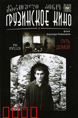 返乡之路：漂泊游子的心声