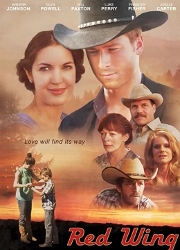 隐形红翼：天空之影