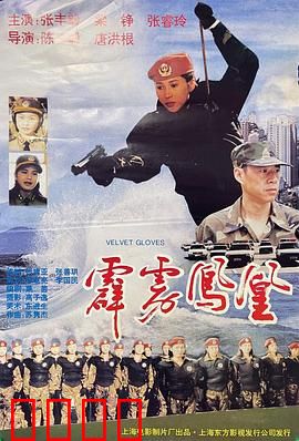 霹雳凤凰：女警铁血