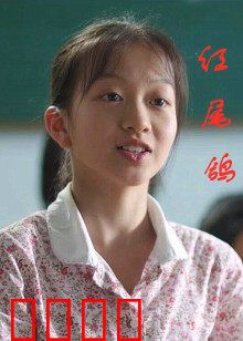 红尾鸽：战地信使