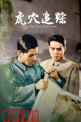 虎穴追踪：卧底险境