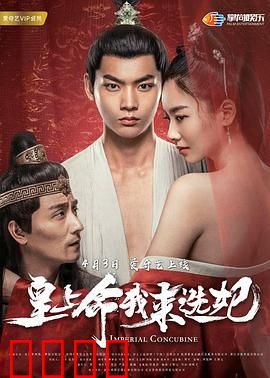 皇上命我来选妃：选妃背后的阴谋