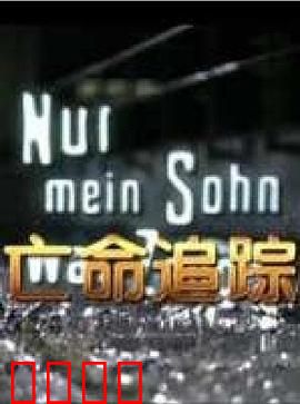 亡命追踪：生死一线