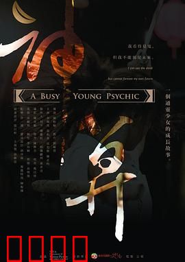 神算2013：骗子破案记