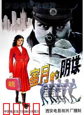 蜜月的阴谋：新婚陷阱