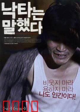 骆驼说话了：沙漠中的神秘预言