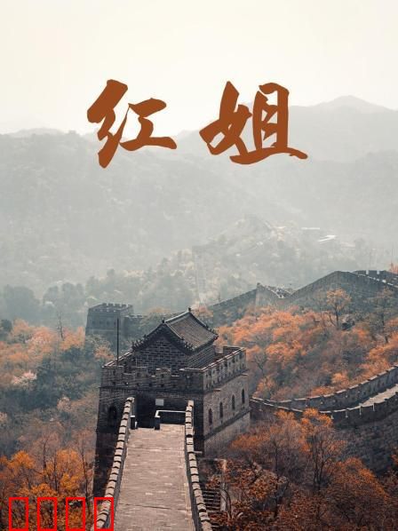 红姐2017：血色复仇