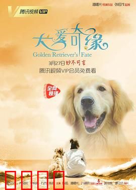 犬爱奇缘：人狗情未了