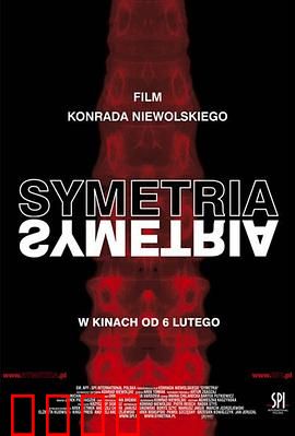 对称：命运双生子