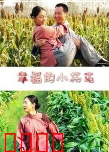 幸福的小杨屯：逆袭传奇