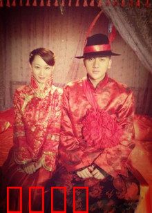 猛虎嗅蔷薇：铁汉柔情破杀局