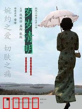 岁岁清明：祖屋日记情缘