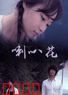 牵牛花：逆境绽放