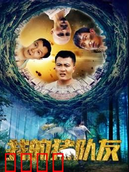 我的猪队友：笑中带泪的友情