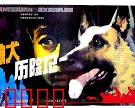 狼犬历险记：人狗情深