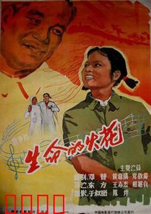 生命的火花：点亮希望之光