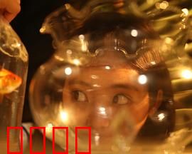 樓上樓下：鬧劇連連