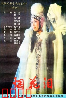 烟花泪：烟花女的悲歌