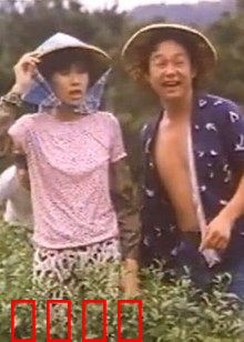 小美我爱你：青春无悔爱恋