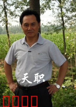 天职2012：仁心抉择
