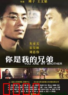 你是我的兄弟：感天动地兄弟情