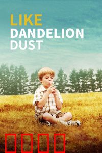 像蒲公英的灰尘：爱与归属的抉择