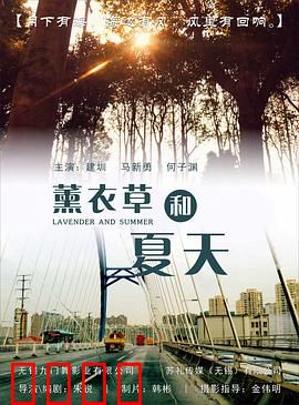 薰衣草和夏天：花海中的约定