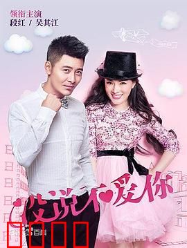 没说不爱你：爱的误会终解