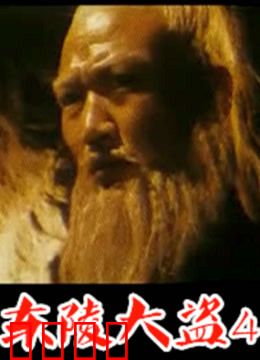 东陵大盗：盗墓传奇