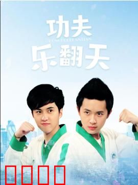 功夫乐翻天：笑翻全场的武林奇遇