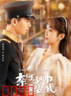 奈何少帅要娶我：军阀强宠记