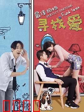 最佳拍档之寻找爱：笑泪交织的爱情冒险