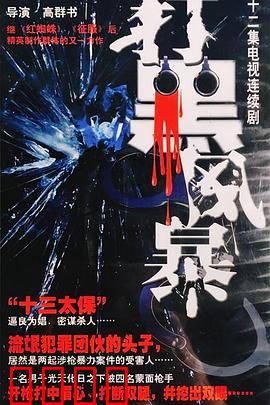 打黑风暴：正义终将到来