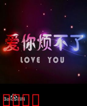 爱你烦不了：婚前培训大作战