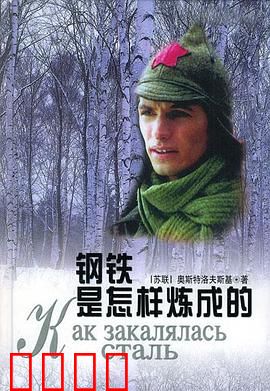 钢铁是怎样炼成的：百炼成钢的传奇
