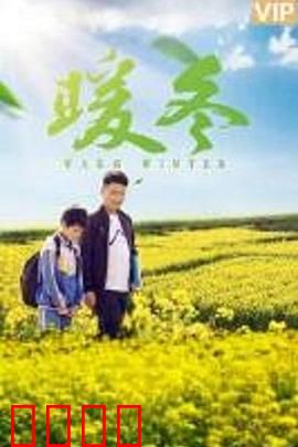 暖冬之殇：失约的初雪