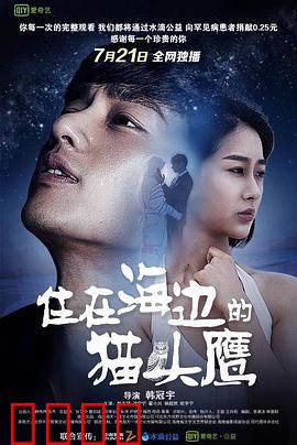 住在海边的猫头鹰：心灵归处