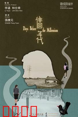 徘徊年代：时代倒影