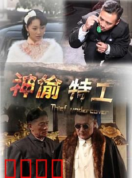 神偷特工：惊天盗窃计划