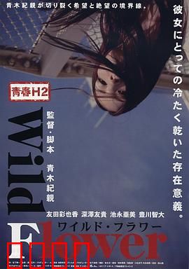 青春H2之狂野之花：叛逆绽放