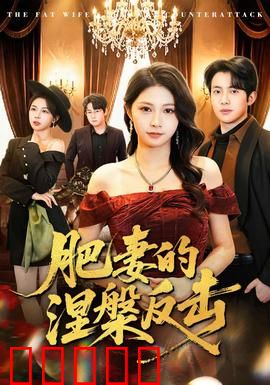 肥妻的涅槃反击：胖妞逆袭成女王