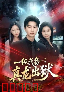 一级戒备：特工冤案揭秘